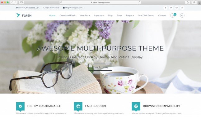flash theme WordPress free